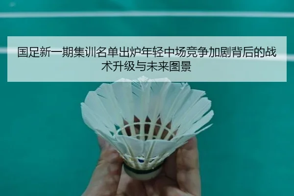 国足新一期集训名单出炉年轻中场竞争加剧背后的战术升级与未来图景