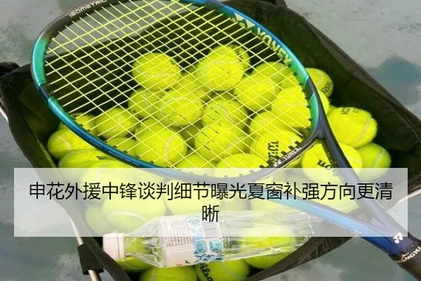 申花外援中锋谈判细节曝光夏窗补强方向更清晰