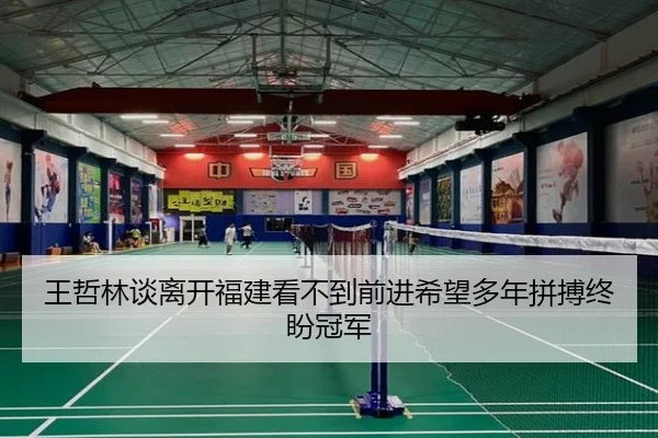 王哲林谈离开福建看不到前进希望多年拼搏终盼冠军