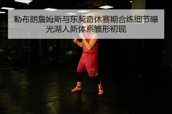 勒布朗詹姆斯与东契奇休赛期合练细节曝光湖人新体系雏形初现